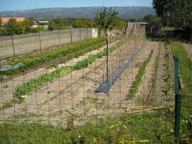 le printemps au jardin 14083d