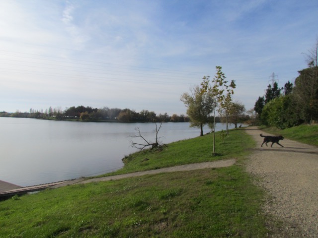 Automne au Lac de Beaupuy  Lot et Garonne 203ebr